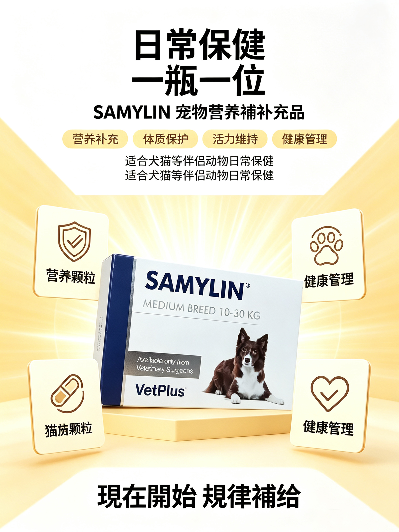 VetPlus SAMYLIN — Medium Breed, 30 Tablets - Image 2