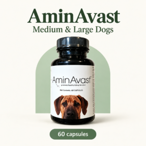 AminAvast for medium and large dogs — 60 capsules